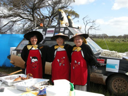 2013_Car_222_Variety_Bash.jpg